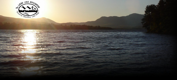 Webb Lake Association